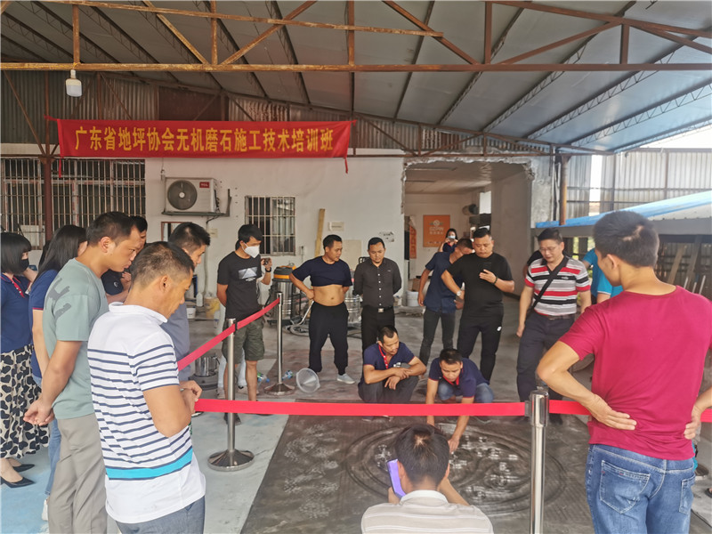 香港正六宝典资料