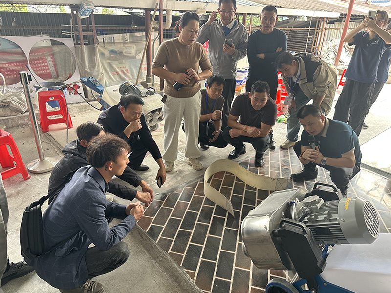 香港正六宝典资料