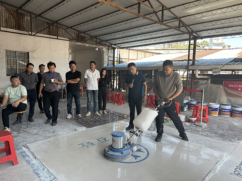 香港正六宝典资料