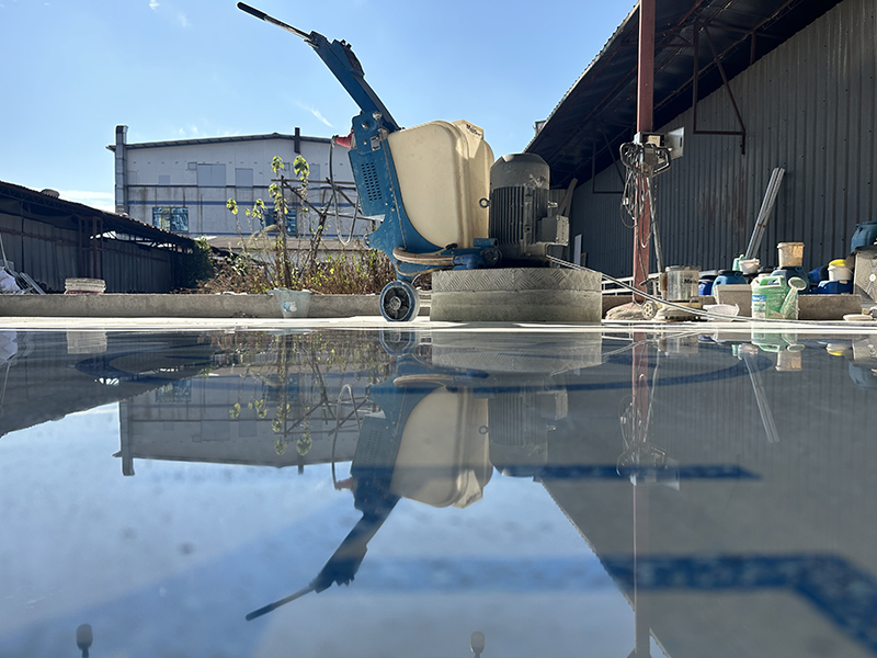 香港正六宝典资料